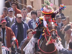 Aktivis Hak Asasi Hewan Kecam Ritual Kuno Jepang