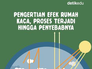 Infografis: Efek Rumah Kaca, Proses Terjadi dan Penyebabnya