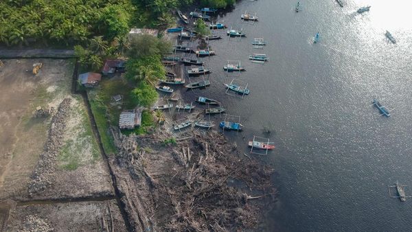 Foto Udara Kawasan Mangrove yang Rusak di Bengkulu