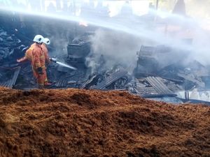 Pabrik Arang di Mojokerto Ludes Dilalap Api Pabrik Arang di Mojokerto Ludes Dilalap Api