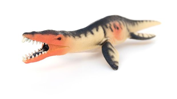 Liopleurodon toy on a white background