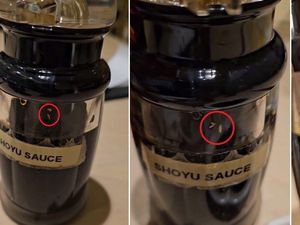 Makan Kecap Asin yang Ada Belatungnya, Pria Ini Diare! Makan Kecap Asin yang Ada Belatungnya, Pria Ini Diare!