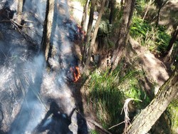 Cegah Hutan Terbakar, Pemburu Diancam Pidana-Pendaki Dilarang Bikin Api Unggun
