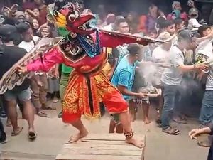 Serunya Khitan 3 Kucing di Banyuwangi Dimeriahkan Kuda Lumping-Dangdutan Serunya Khitan 3 Kucing di Banyuwangi Dimeriahkan Kuda Lumping-Dangdutan