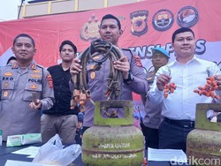 Sindikat Pengoplos Gas di Kota Bogor Ditangkap, 987 Tabung Disita Polisi