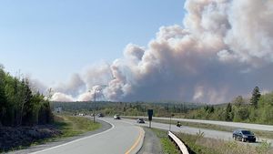 Potret Ngeri Asap Kebakaran Hutan di Kanada