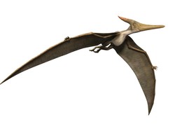 Dinosaurus yang Masih Eksis di Bumi