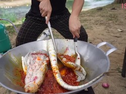 Gokil! Bobon Santoso Bikin Seblak Isi Kepala dan Ekor Buaya Putih