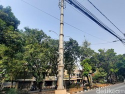 PDIP Tuding Pemprov DKI Kecolongan soal Tiang BTS di Pinggir Kali Sunter