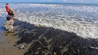 Tuai Cuan dari Limbah Batu Bara yang Cemari Pantai di Aceh