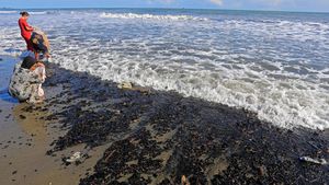 Tuai Cuan dari Limbah Batu Bara yang Cemari Pantai di Aceh