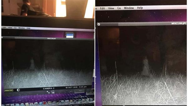 Foto Penampakan Mengerikan, Bikin Susah Tidur