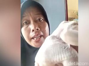 Pedagang di Asahan Viral Dituding Pakai Ayam Tiren gegara Dagangan Laris