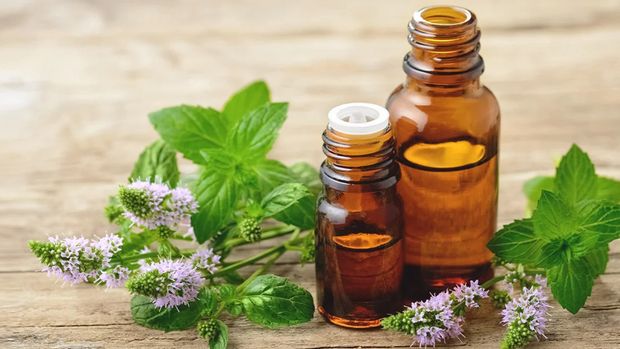 Peppermint Oil/ Foto: healthline.com