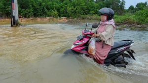 Potret Kendaraan Nekat Terobos Banjir di Jambi