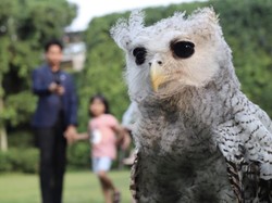 Serunya Akhir Pekan Bermain dengan Satwa di Hotel Bintang Lima Bandung