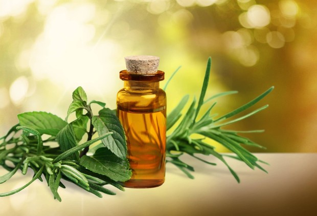 Tea Tree Oil/ Foto: healthifyme.com