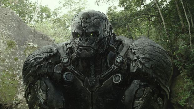 Transformers: Rise of the Beasts Transformers: Rise of the Beasts mengisahkan berlatar pada 1994, klan Maximals, Terrorcons, dan Predacons terlibat dalam pertempuran Autobots dan Decepticons di Bumi.