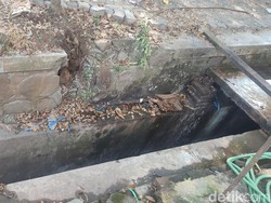 Heboh Mayat Berdiri dalam Got, Ternyata Korban Pembunuhan Sadis