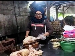 Harga Daging Ayam di Karangasem Tembus Rp 50 Ribu per Kilogram