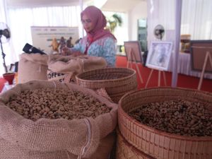 AS Promosikan Produksi Kakao dan Kopi di Indonesia AS Promosikan Produksi Kakao dan Kopi di Indonesia