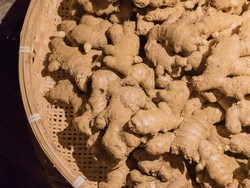 15 Manfaat Jahe Merah dan Nutrisi yang Terkandung di Dalamnya