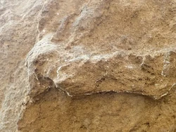 Jejak Kaki Manusia Tertua Ditemukan, Awet dari 153.000 Tahun Lalu