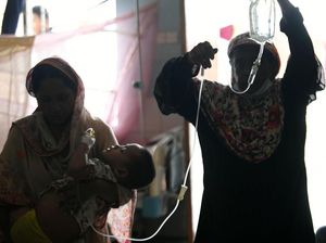 Bangladesh Rekor Kematian DBD, Jumlah Pasien di RS Naik Terus!