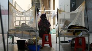 Kasus Demam Berdarah di Bangladesh Makin Memprihatinkan