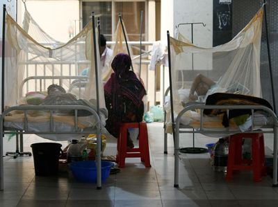 Kasus Demam Berdarah di Bangladesh Makin Memprihatinkan