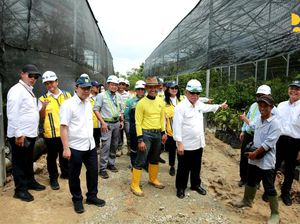 Tol IKN Bakalan Rindang, Pak Bas Siap Tanam 52.000 Pohon