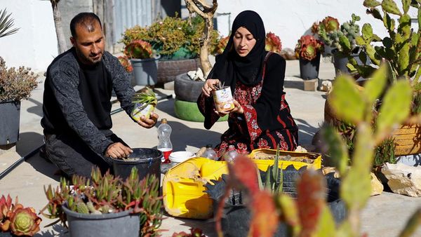 Kreatif! Pasangan di Gaza Ubah Wadah Sampah untuk Bercocok Tanam