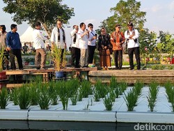 Ke Jogja Agro Park Nanggulan, Mentan Bagi Tips Antisipasi Dampak El-Nino