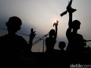 Pesisir Jakarta Butuh Ruang Terbuka Hijau Untuk Anak Pesisir Jakarta Butuh Ruang Terbuka Hijau Untuk Anak