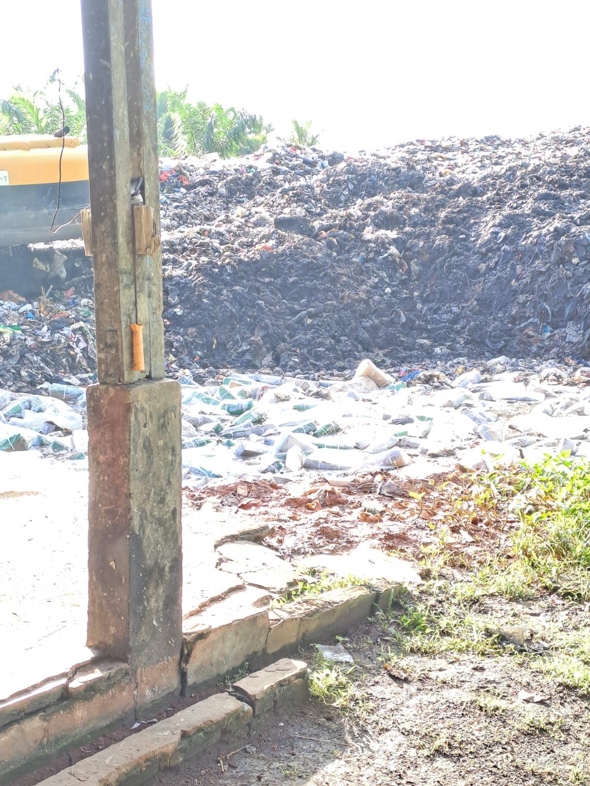 Viral di media sosial warga berebut mengambil daging kerbau impor ilegal asal India di Tempat Pembuangan Akhir (TPA) di Bantan, Bengkalis, Riau pada Senin (29/5). Begini potretnya.