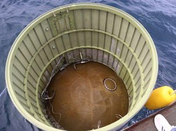 Korsel Temukan Puing Satelit Mata-mata Korut yang Jatuh ke Laut