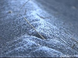 Penampakan Lautan Pasir Bromo Berubah Jadi Hamparan Salju