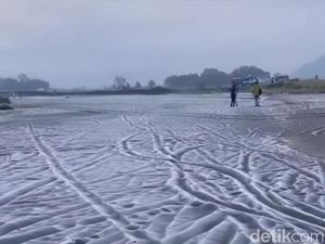 Brrrhhh! Lautan Pasir Bromo Berubah Bagai Hamparan Salju Brrrhhh! Lautan Pasir Bromo Berubah Bagai Hamparan Salju