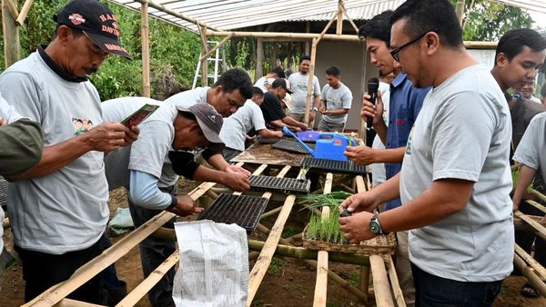 Sekolah Lapang atau Learning Farm untuk Para Petani