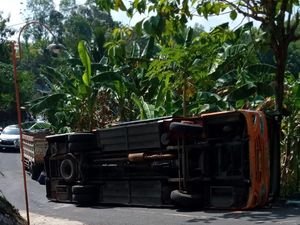 Bus Pariwisata Terguling di Jalur Wisata Pantai Ngrenehan Gunungkidul Bus Pariwisata Terguling di Jalur Wisata Pantai Ngrenehan Gunungkidul