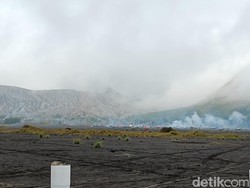 Fenomena Frozen di Gunung Bromo Rawan Rusak Tanaman Pertanian