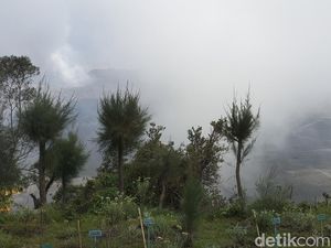 Fenomena Frozen di Bromo Indah Dipandang Tapi Rawan Hipotermia Fenomena Frozen di Bromo Indah Dipandang Tapi Rawan Hipotermia