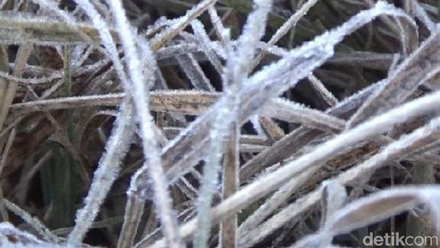 Kawasan Kaldera Gunung Bromo yang semula berupa hamparan pasir kini diselimuti salju. Fenomena salju di Bromo tersebut terjadi sejak Selasa, 30 Mei 2023.