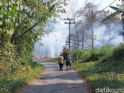 Warga Jember Sesak Napas gegara Asap Limbah Triplek yang Terbakar
