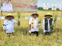 Panen Raya di Banggai, Mendagri Harap Bisa Tembus Pasar Internasional