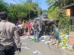 Tak Kuat Nanjak, Pikap Muatan Sayur Terguling di Puncak Bogor