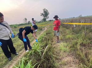 Ketahuan Curi Motor, Pria di Pesawaran Tewas Setelah Dihajar Massa Ketahuan Curi Motor, Pria di Pesawaran Tewas Setelah Dihajar Massa