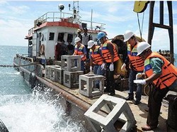 PT Timah Tanggapi Penolakan Aktivitas Tambang, Sebut Miliki IUP