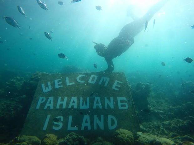 Snorkeling dan Diving/ Foto: Instagram/pahawang.island.lampung Foto: Instagram/pahawang.island.lampung