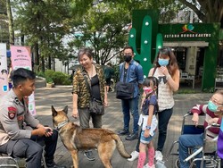 Hewan Garang Ini Justru Jadi Teman Wisatawan di Lembang